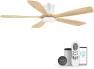 Thumbnail Smart Ceiling Fan with Lights — Smart Fan, GentleBreeze
