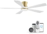 Thumbnail Smart Ceiling Fan with Lights — Smart Fan, GentleBreeze