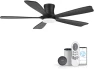 Thumbnail Smart Ceiling Fan with Lights — Smart Fan, GentleBreeze