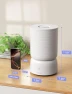 Thumbnail Smart Cool Mist Humidifier with Essential Oil Diffuser — Humidifier, CLEVAST