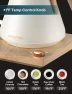 Thumbnail Gooseneck Electric Kettle with Precise Temperature Control — Electric Kettle, INTASTING