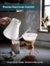 Thumbnail Gooseneck Electric Kettle with Precise Temperature Control — Electric Kettle, INTASTING