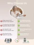 Thumbnail One-Touch Barrel-Type Upper Arm Blood Pressure Monitor — Blood Pressure Monitor, CAVN