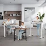 Thumbnail Electric Adjustable Height Standing Desk with Large Mouse Pad — Standing Desk, farexon