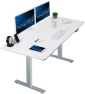 Thumbnail Electric Standing Desk — Standing Desk, VIVO
