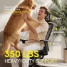 Thumbnail Ergonomic Office Chair with Footrest — Smart Chairs, CYKOV