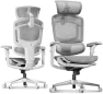 Thumbnail Premium Ergonomic Office Chair with Footrest — Smart Chairs, FLEXISPOT