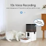 Thumbnail Automatic Pet Feeder with Camera and Treat Dispenser — Automatic Pet Feeder, pumpkii