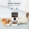 Thumbnail Automatic Pet Feeder with Camera and Treat Dispenser — Automatic Pet Feeder, pumpkii