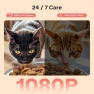 Thumbnail Automatic Pet Feeder with Camera — Automatic Pet Feeder, MUBBI