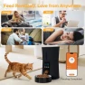 Thumbnail Automatic Pet Feeder with Voice Recorder and App Control — Automatic Pet Feeder, NEWBULIG