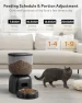 Thumbnail Automatic Pet Feeder — Automatic Pet Feeder, Sarpaws