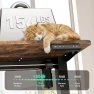 Thumbnail Electric Standing Desk Adjustable Height, Ergonomic Sit Stand Computer Desk — Standing Desk, VVENACE