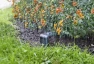 Thumbnail Intelligent Soil Moisture Meter — Soil Moisture Sensor, Gardena