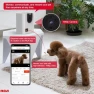 Thumbnail Smart Camera Treat Dispenser — Automatic Pet Feeder, RCA