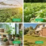 Thumbnail Smart Soil Moisture Sensor 3-Pack — Soil Moisture Sensor, THIRDREALITY