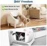 Thumbnail Self Cleaning Litter Box — Self-Cleaning Litter Box, ExploreHorizon
