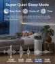 Thumbnail 2 in 1 Air Purifier with Humidifier — Air Purifier, AUPU