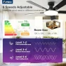 Thumbnail Ceiling Fan with Lights — Smart Fan, Amico