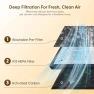 Thumbnail Pet Air Purifier for Large Rooms — Air Purifier, KEN BROWN
