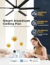 Thumbnail 65 Inch Ultra-thin Smart Ceiling Fan with WiFi Alexa APP Remote Control, Whole Aluminum DC Motor and Blades, 6 Speed,... — Smart Fan, ECOiTEL