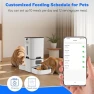 Thumbnail Dual Automatic Cat Feeder for 2 Cats — Automatic Pet Feeder, TYM