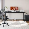 Thumbnail Dual Motor Standing Desk — Standing Desk, FitStand