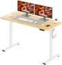 Thumbnail Dual Motor Standing Desk — Standing Desk, FitStand
