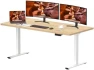 Thumbnail Dual Motor Standing Desk — Standing Desk, FitStand