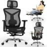 Thumbnail Ergonomic Office Chair with Footrest — Smart Chairs, SUNNOW