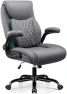 Thumbnail Ergonomic Office Chair with Lumbar Support and Flip-Up Armrests — Smart Chairs, BESTFAIR