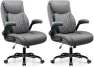 Thumbnail Ergonomic Office Chair with Lumbar Support and Flip-Up Armrests — Smart Chairs, BESTFAIR