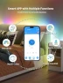 Thumbnail RGB Smart IC COB LED Strip Light — LED Strip Lights, PAUTIX