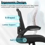 Thumbnail Ergonomic Mesh Office Chair with Adjustable Lumbar Support and Flip-up Armrests — Smart Chairs, FelixKing