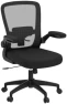 Thumbnail Ergonomic Mesh Office Chair with Adjustable Lumbar Support and Flip-up Armrests — Smart Chairs, FelixKing