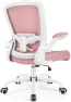 Thumbnail Ergonomic Mesh Office Chair with Adjustable Lumbar Support and Flip-up Armrests — Smart Chairs, FelixKing