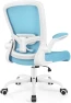 Thumbnail Ergonomic Mesh Office Chair with Adjustable Lumbar Support and Flip-up Armrests — Smart Chairs, FelixKing