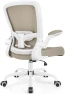 Thumbnail Ergonomic Mesh Office Chair with Adjustable Lumbar Support and Flip-up Armrests — Smart Chairs, FelixKing