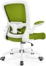 Thumbnail Ergonomic Mesh Office Chair with Adjustable Lumbar Support and Flip-up Armrests — Smart Chairs, FelixKing