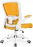 Thumbnail Ergonomic Mesh Office Chair with Adjustable Lumbar Support and Flip-up Armrests — Smart Chairs, FelixKing