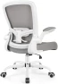 Thumbnail Ergonomic Mesh Office Chair with Adjustable Lumbar Support and Flip-up Armrests — Smart Chairs, FelixKing