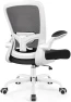 Thumbnail Ergonomic Mesh Office Chair with Adjustable Lumbar Support and Flip-up Armrests — Smart Chairs, FelixKing