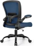 Thumbnail Ergonomic Mesh Office Chair with Adjustable Lumbar Support and Flip-up Armrests — Smart Chairs, FelixKing