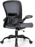 Thumbnail Ergonomic Mesh Office Chair with Adjustable Lumbar Support and Flip-up Armrests — Smart Chairs, FelixKing