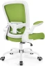 Thumbnail Ergonomic Mesh Office Chair with Adjustable Lumbar Support and Flip-up Armrests — Smart Chairs, FelixKing
