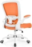Thumbnail Ergonomic Mesh Office Chair with Adjustable Lumbar Support and Flip-up Armrests — Smart Chairs, FelixKing