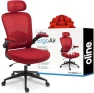 Thumbnail Ergonomic Office Chair — Smart Chairs, Oline