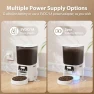 Thumbnail Automatic Cat Feeder with Stainless Steel Bowl — Automatic Pet Feeder, Petrice