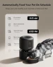 Thumbnail Automatic Cat Feeder — Automatic Pet Feeder, PETLIBRO