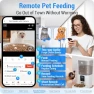 Thumbnail Automatic Pet Feeder with Camera — Automatic Pet Feeder, Frienhund